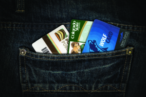 Denim Pocket with library cards