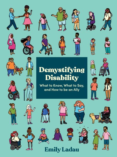 demystifying disability book cover 